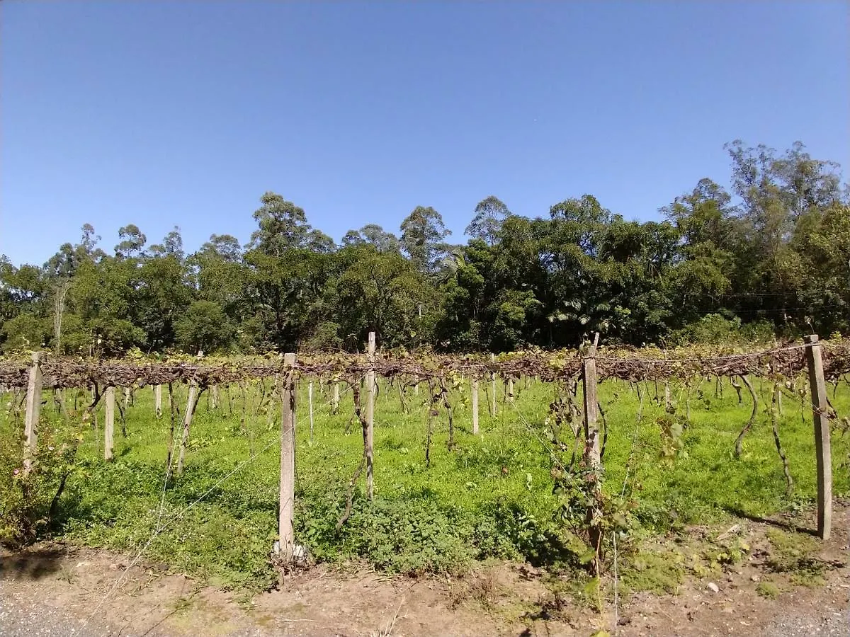 Casa de hóspedes Vigna Mazon Hotel Urussanga Brasil